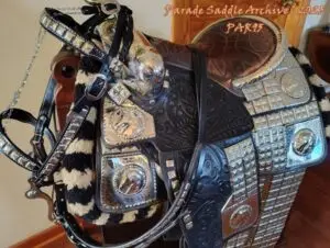 Lovins saddle